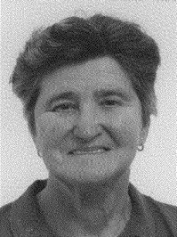 Slika Fotografije/Opcenite fotografije/17.09.2013. - MARIJA BRATKOVIC/Marija Bratković foto.jpg